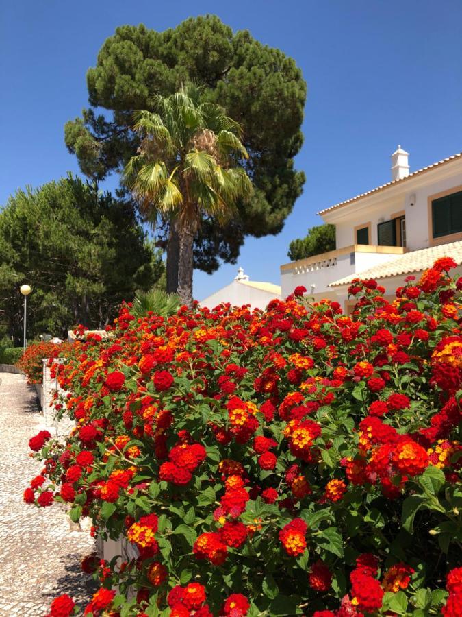Algarve Albufeira, Quiet Apart With Pool At 10 Mn Walk From Praia Da Falesia 올류스 데 아구아 외부 사진